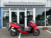 Kymco Grand Ding 50 2Takt Mofa Drossel 45km oder 25km/h neuwertig Nordrhein-Westfalen - Bergkamen Vorschau