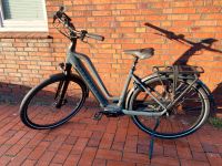 NEU! - Gazelle Chamonix C7 HMS (E-Bike) Niedersachsen - Löningen Vorschau