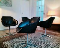 Esszimmer Walter Knoll Turtle Chair Leder Lounge Design Wuppertal - Elberfeld Vorschau