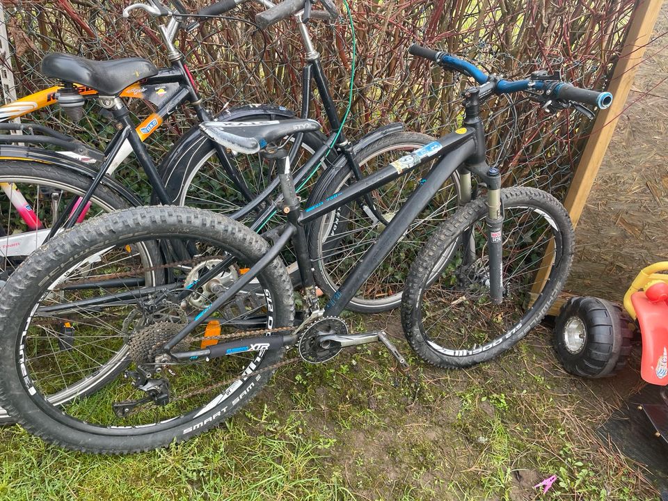 Klassisches 29" ok Damenrad und 28"Herrenrad Kinder gebraucht in Rödinghausen