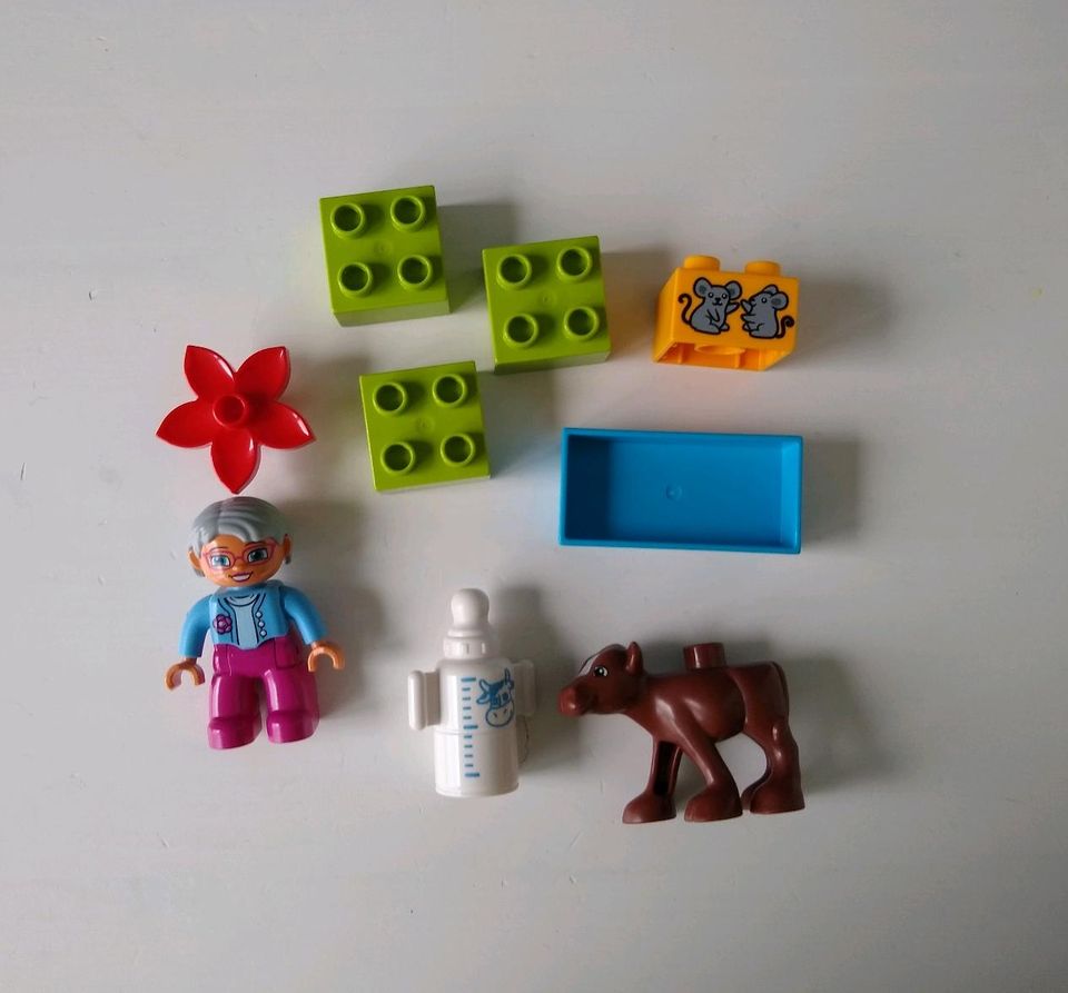 LEGO Duplo • Baby Kalb • 10521 in Beelen