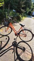Damen Fahrrad Nordrhein-Westfalen - Marl Vorschau