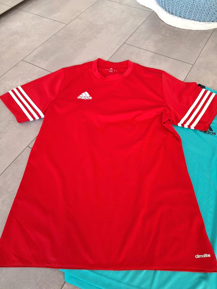 Sportshirt/TShirt Adidas, rot, türkis, climacool, 3 Streifen, M,L in Alsdorf