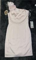 Apart Glamour One Shoulder Kleid Zartes Rosa Neu ungetragen!!! Baden-Württemberg - Bietigheim-Bissingen Vorschau