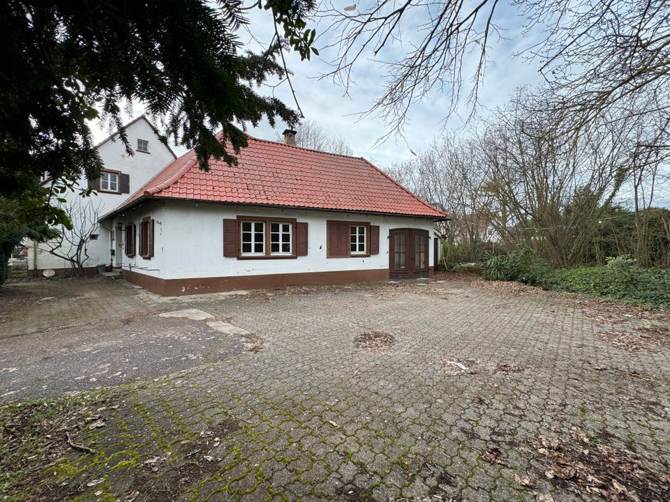 Landhaus mit Geschichte Sanierungsprojekt oder Neubau nach Abriß in Dudenhofen