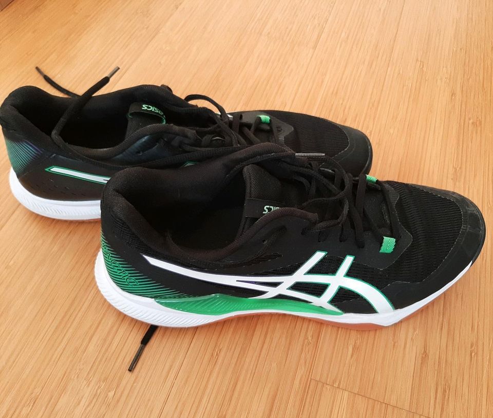 ASICS -Vollayballschuhe, Gr. 46 in Ludwigsburg