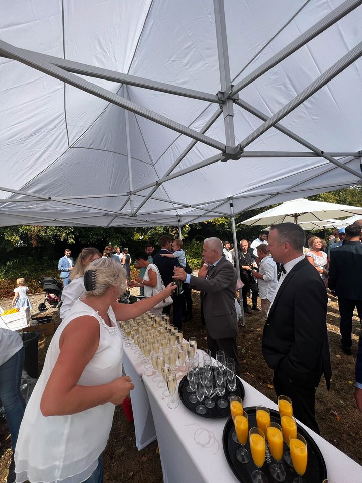 Freie Trauung Römermuseum Schwarzenacker Homburg Hochzeit in Waldmohr