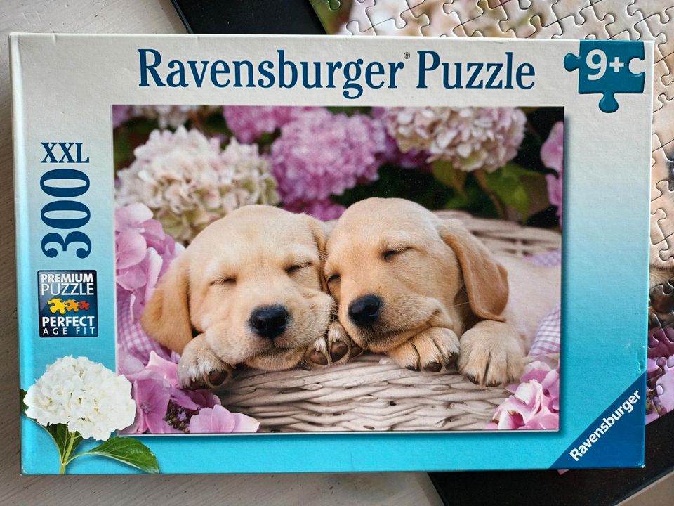 Ravensburger Puzzle 300 Teile Hunde Welpen in Oyten