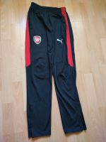 Puma jogging Hose S Saarland - Dillingen (Saar) Vorschau