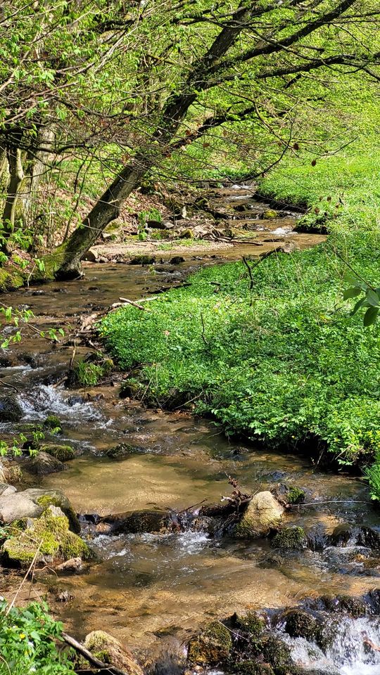 Natur, Wandern, Urlaub im Thüringer Wald/Ferienwohnung für Zwei in Bad Liebenstein