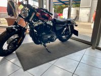 Harley 48 zu verkaufen! Baden-Württemberg - Neulußheim Vorschau