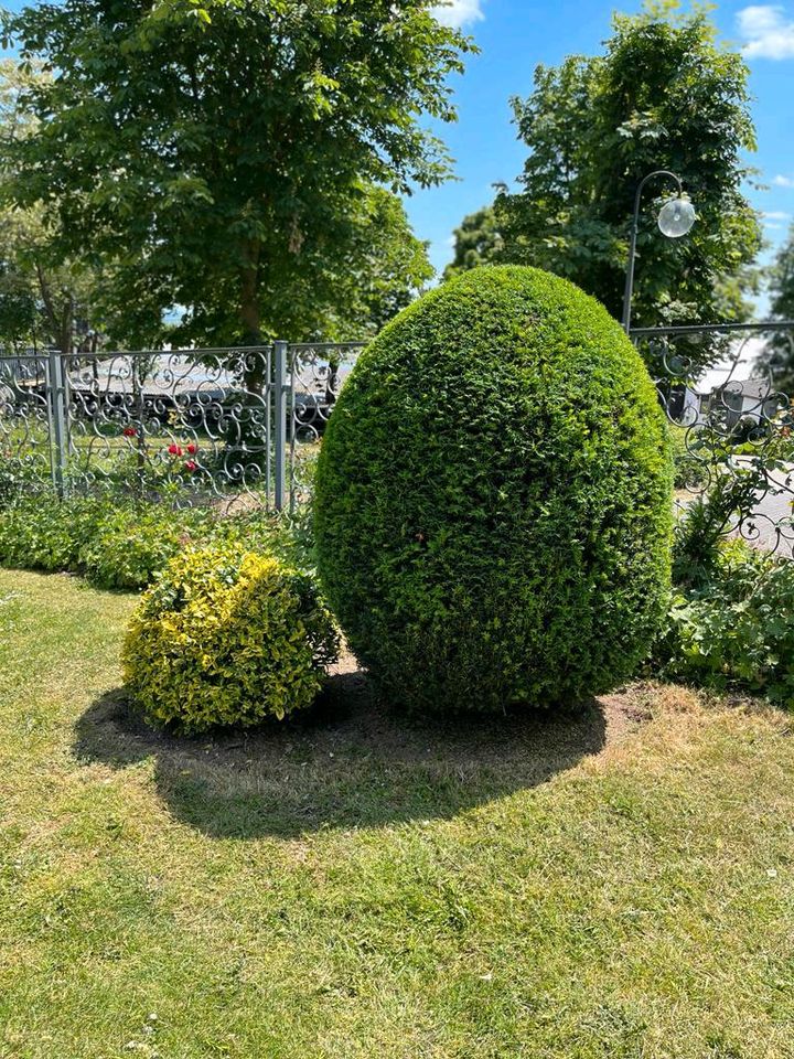 Entrümpelungen und Gartenarbeit in Weißenthurm  