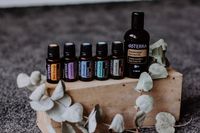 doTERRA ätherische Öle Basic Set Energie Immunsupport Verdauung Sachsen - Weißenborn Erzgebirge Vorschau