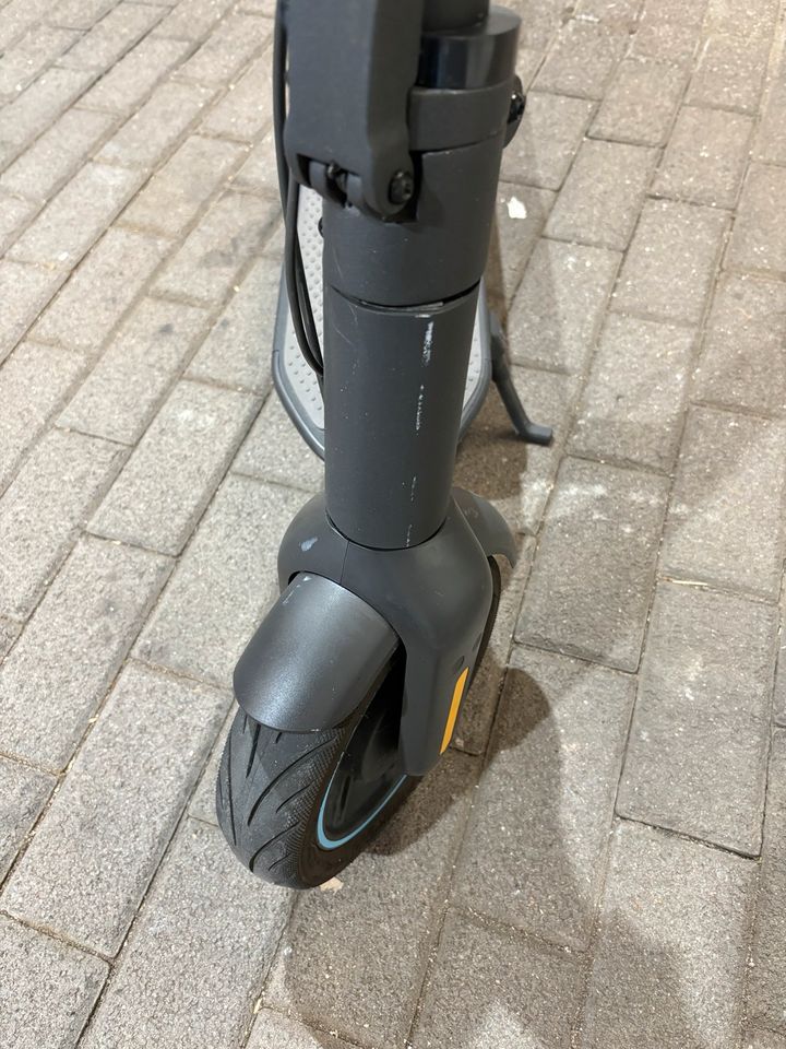 Segway E-Scooter MAX G30D in Haßloch