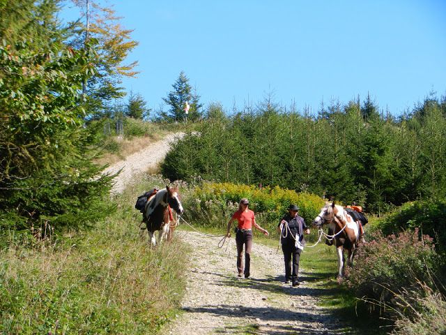 "Allgäuer HIghlights " Wanderreiten (geführt) im Allgäu in Buchenberg