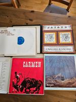Schallplatten - Sammlung - Raritäten Sachsen - Radebeul Vorschau