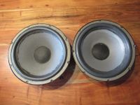 Infinity / Watkins 12" Dual Voice Coil Woofer -#902-1180 Rarität! Bayern - Karlstein Vorschau