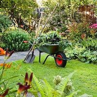 Gartenarbeiten Aussenanlage Niedersachsen - Wolfenbüttel Vorschau