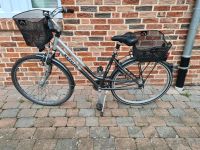 Damenrad Fahrrad 28 Zoll Alu Rad Kettler 7 Gang Nabendynamo Nordrhein-Westfalen - Warendorf Vorschau