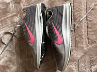 Nike Running Schuhe ( Damen) Größe 37,5 Nordrhein-Westfalen - Havixbeck Vorschau