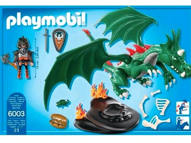 Playmobil Knights mit Drache und Ritter in Braunschweig