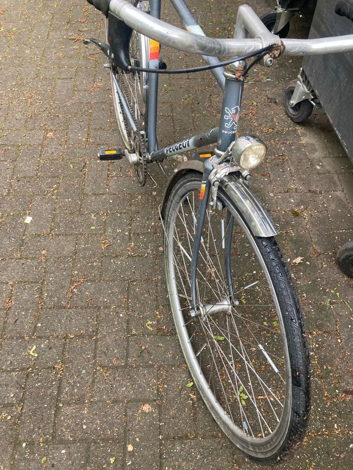 Peugeot Vintage Herren Fahrrad in Berlin