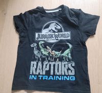 Jurassic World Dinosaurier Shorty Pyjama Schlafanzug kurz Brandenburg - Neuruppin Vorschau