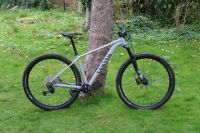 Canyon Grand Canyon 8 Mountainbike MTB 28 Zoll Size M Team Grey Mecklenburg-Vorpommern - Greifswald Vorschau