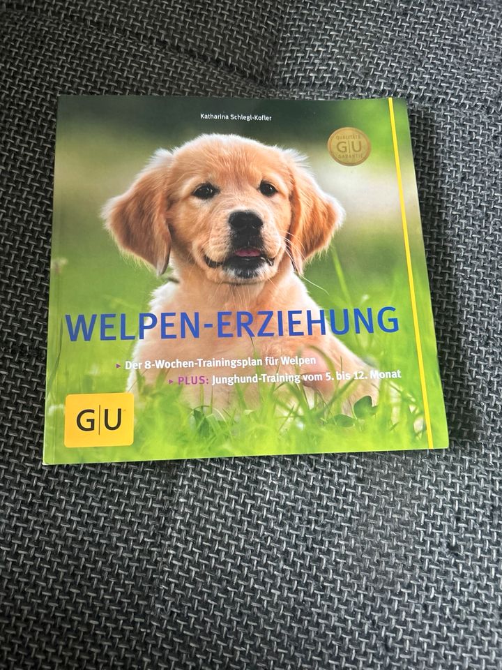 Welpen Erziehung in Duisburg