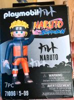 Playmobil Naruto Pferd Fee Pirat Tierarzt Star Trek (15€) Rheinland-Pfalz - Wackernheim Vorschau