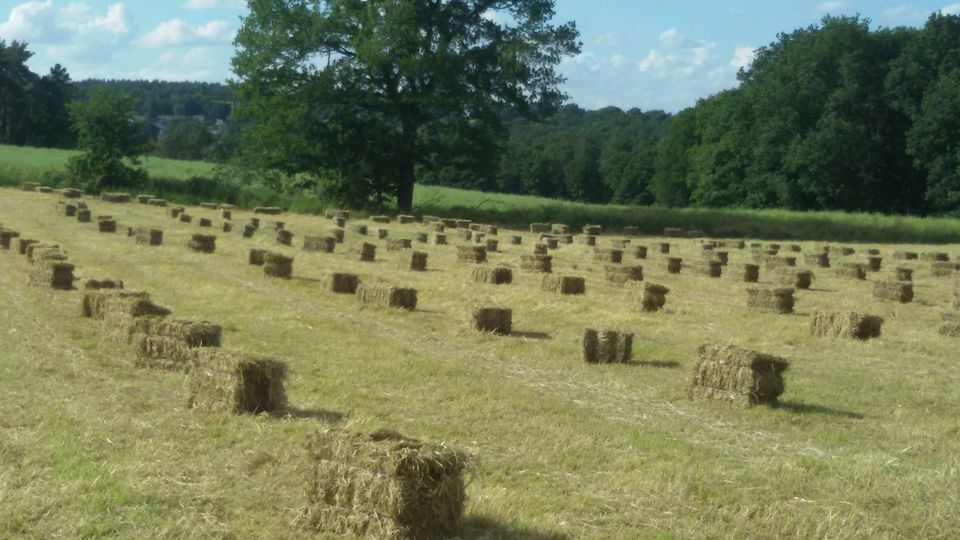 Heu, HD Ballen, 1.Schnitt, Kleine Ballen in Kreuzau