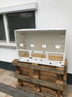 Zuchtbox zu verkaufen Hessen - Lauterbach (Hessen) Vorschau