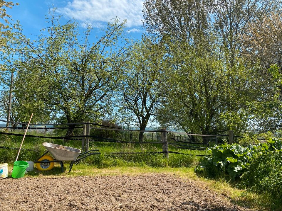 Aussiedlerhof,Pferdehof,Restbauernhof in Top Alleinlage ! in Bad Gandersheim