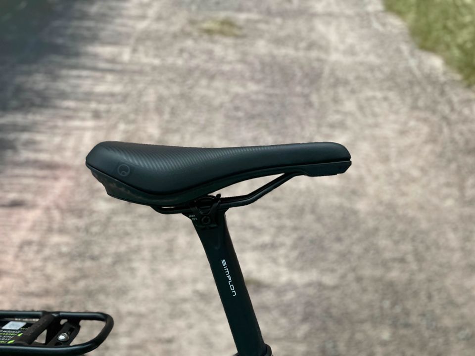 E-Bike | SIMPLON Silkcarbon TQ | Carbonrahmen | nur ca. 19Kg in Bad Salzuflen