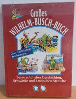 Großes Wilhelm-Busch-Buch mit über 1300 farbigen Zeichnungen Sachsen-Anhalt - Dessau-Roßlau Vorschau