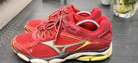 Mizuno Laufschuhe Größe 42 Hessen - Bad Homburg Vorschau