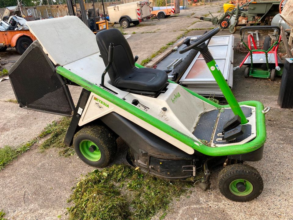 Aufsitzmäher Etesia in Lüttgenrode