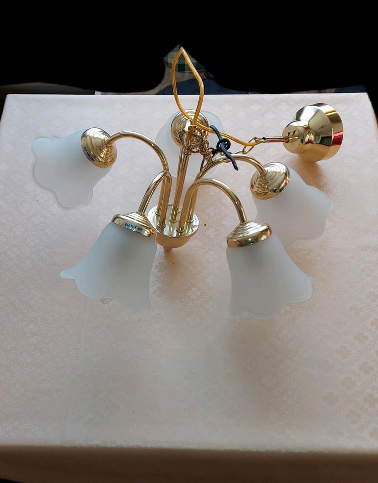 Deckenlampe inkl. Leuchtmittel Lampe Hängelampe 5 Glocken in Randowtal (Schmölln)