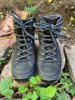 Wanderschuhe Lowa Renegade Evo GTX Mid Ws Wide Größe 39 Rheinland-Pfalz - Bingen Vorschau