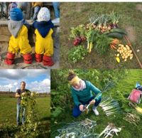 Suche Garten in Berlin Berlin - Wilmersdorf Vorschau