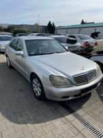 SCHLACHTFEST - TEILE - MERCEDES-BENZ S-KLASSE (W220) S 320 CDI Nordrhein-Westfalen - Dinslaken Vorschau