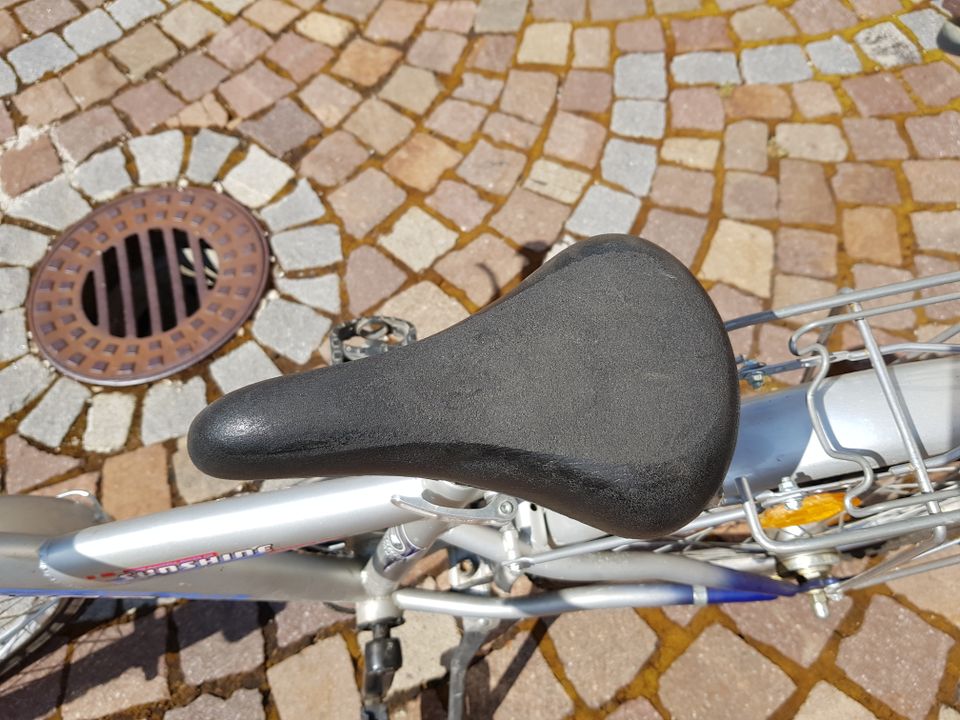 Kinderfahrrad Bavaria Sunshine 20 Zoll silber. Sofort Fahrbereit in Feldkirchen