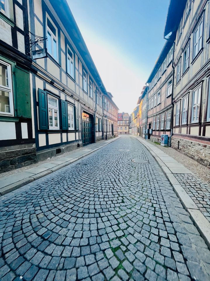 Ferienwohnung HarzFokus Wellnest in Wernigerode