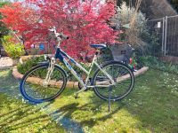 Damen Trekking Fahrrad Kalkhoff Allround Jubilee 28 Zoll M Hessen - Reinheim Vorschau