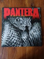 Pantera Vinyl Niedersachsen - Leer (Ostfriesland) Vorschau