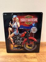 Harley-Davidson Fixer Up Babe Schild - super Zustand! Bielefeld - Quelle Vorschau