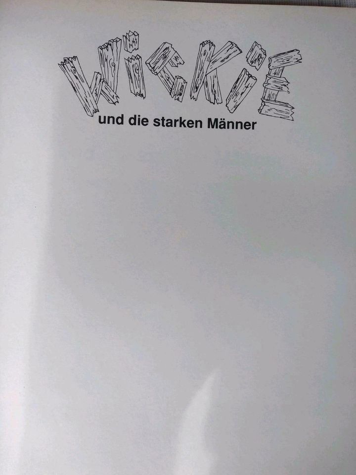 Wickie und die starken Männer, Kinderbuch 1989, top in Ellingen