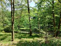 Waldgrundstück zur Pacht Nordrhein-Westfalen - Overath Vorschau