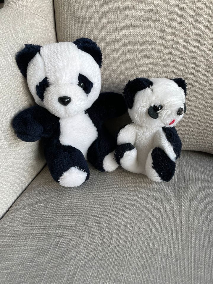 Kuscheltiere Panda-Bären in Hasloh