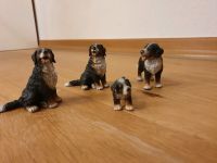 Schleich Bernersennen Familie Hund Schleswig-Holstein - Henstedt-Ulzburg Vorschau